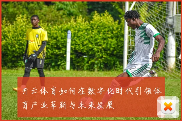 开云体育如何在数字化时代引领体育产业革新与未来发展