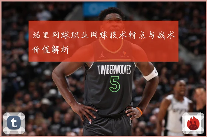 诺里网球职业网球技术特点与战术价值解析