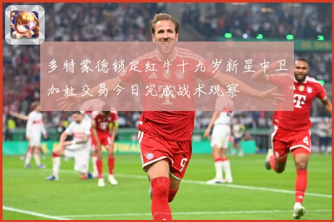 多特蒙德锁定红牛十九岁新星中卫加杜交易今日完成战术观察