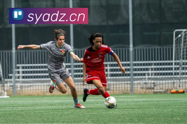 开云官网服务体系